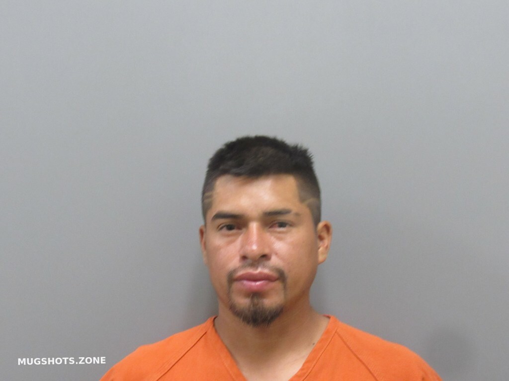 Perez Gerson Alfredo Harris County Mugshots Zone