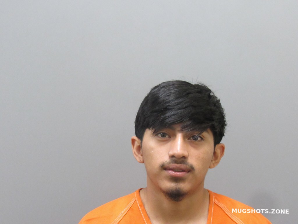 ARGUETA CERVANTES MARIO DENILSON 07 01 2024 Harris County Mugshots Zone