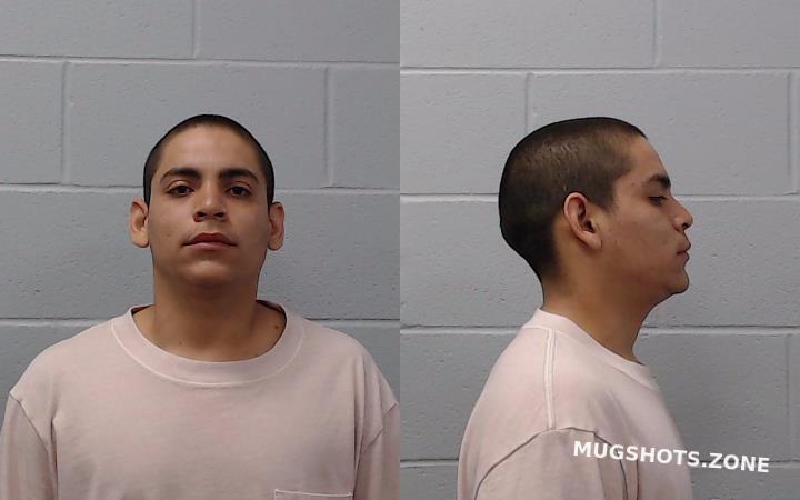 Cruz Antonio Hays County Mugshots Zone