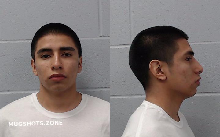 Flores Orlando Enrique Hays County Mugshots Zone