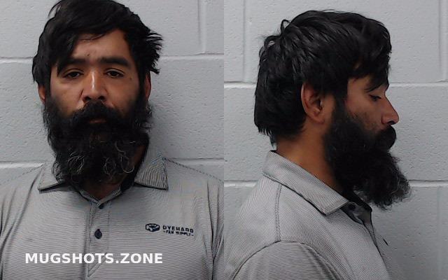 Maldonado Jose Armando Hays County Mugshots Zone