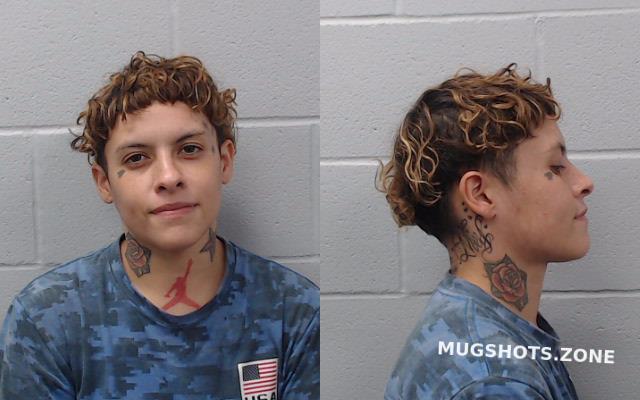 Martinez Josefina Hays County Mugshots Zone