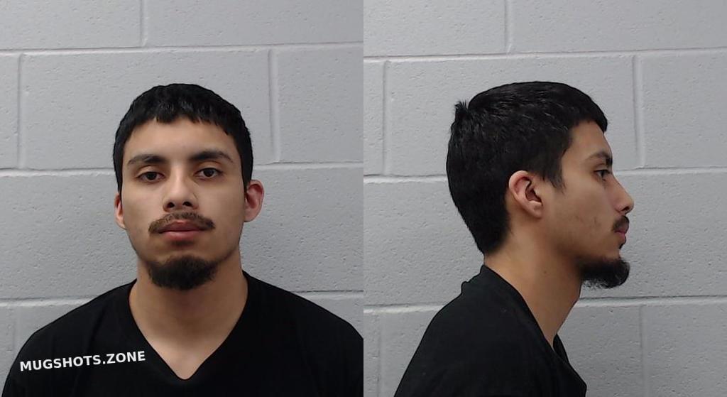 Regalado Armando Hays County Mugshots Zone