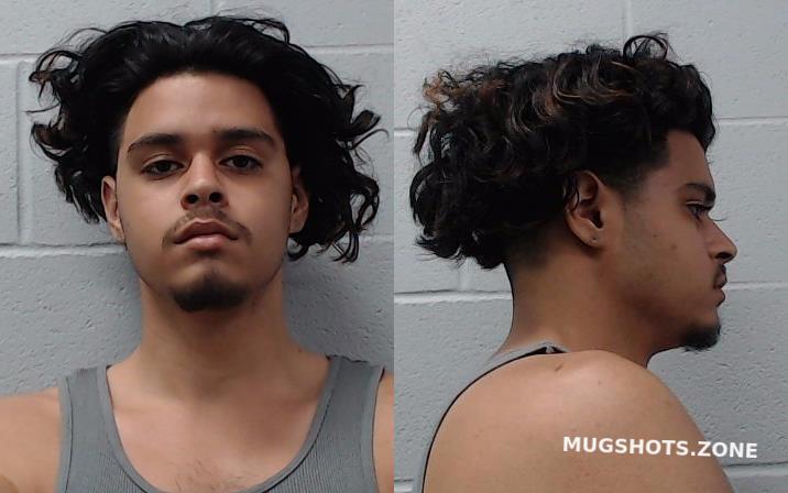 Gallardo Alfred Jr Hays County Mugshots Zone