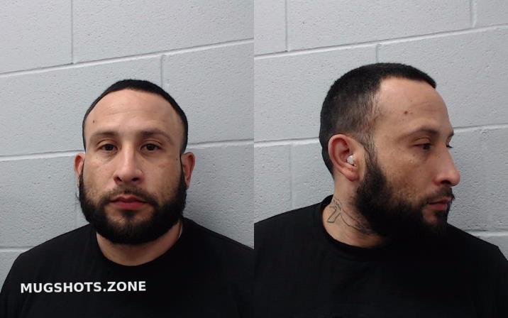 Godinez Jorge Hays County Mugshots Zone