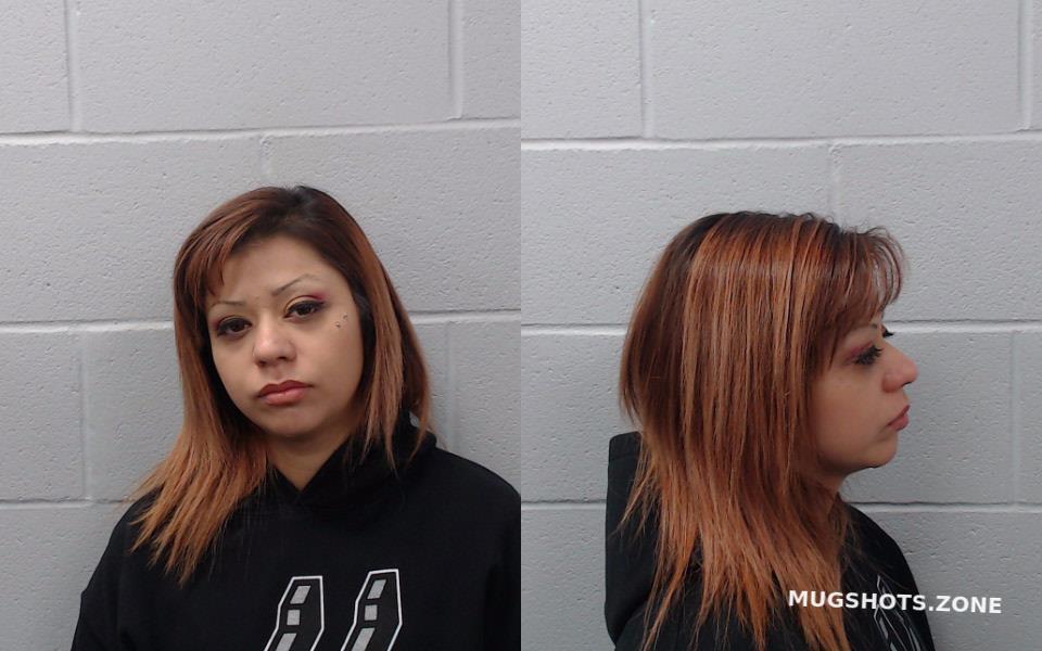 GONZALES BRITTANY NICOLE 03 14 2023 Hays County Mugshots Zone