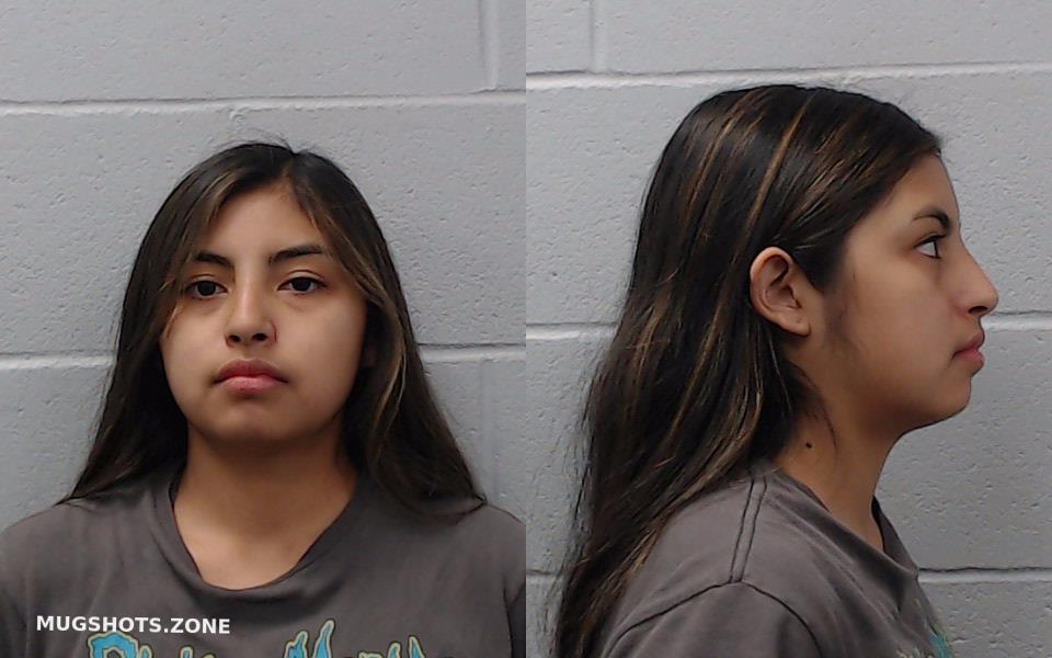 Hernandez Pixie Hays County Mugshots Zone