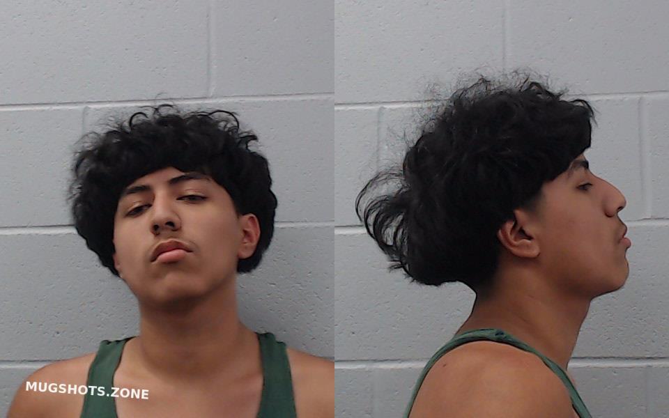 Nieto Julian Hays County Mugshots Zone