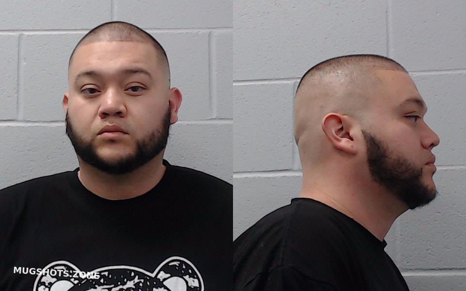 Govea Sergio Hays County Mugshots Zone