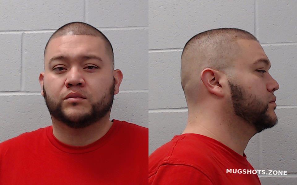 Govea Sergio Hays County Mugshots Zone