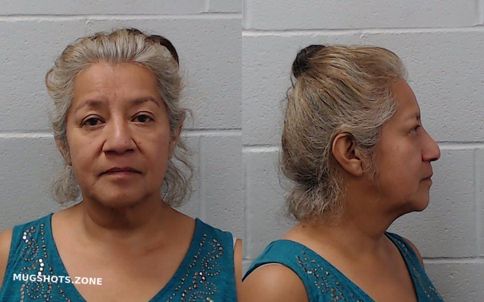 REYES DEANA 07 25 2023 Hays County Mugshots Zone