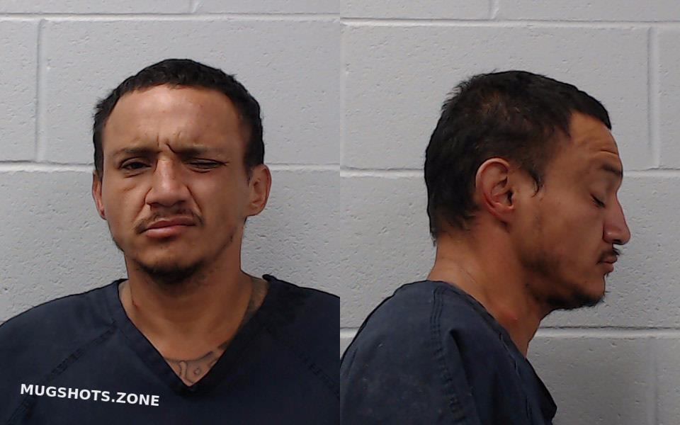 Flores Michael Brooks Hays County Mugshots Zone