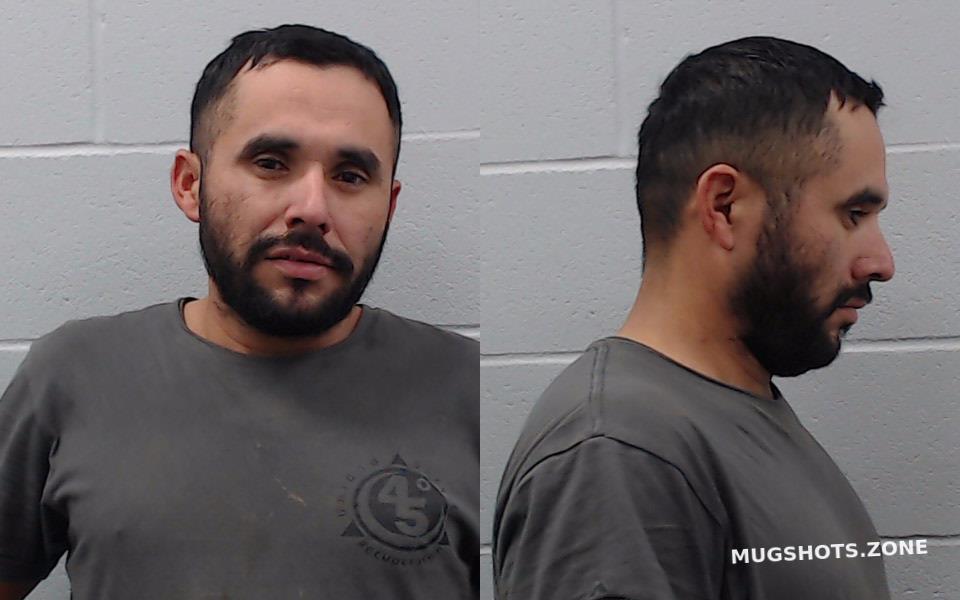 Calles Mejia Carlos Alberto Hays County Mugshots Zone