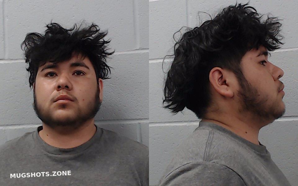 Diaz Sergio Hays County Mugshots Zone