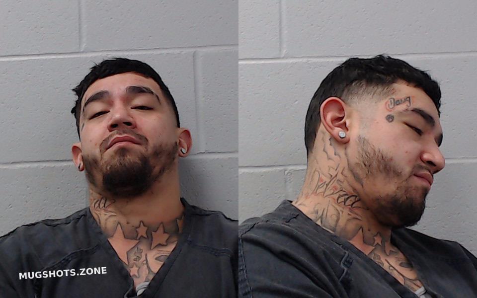 Ramirez Ronald Rene Hays County Mugshots Zone