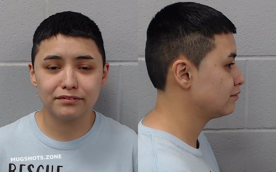 SANCHEZ SAMANTHA MICHELLE 03 19 2024 Hays County Mugshots Zone