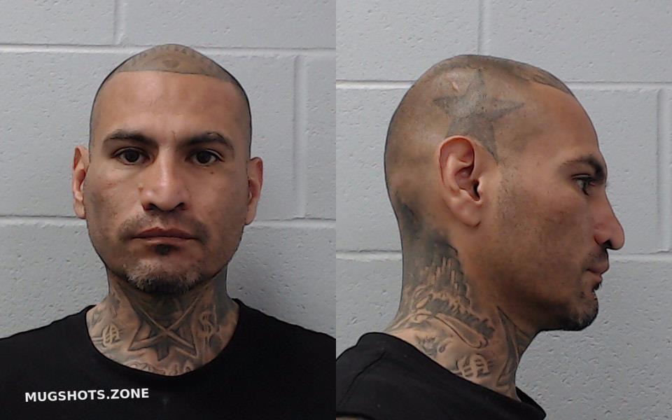 Arroyos Luis Perez Hays County Mugshots Zone