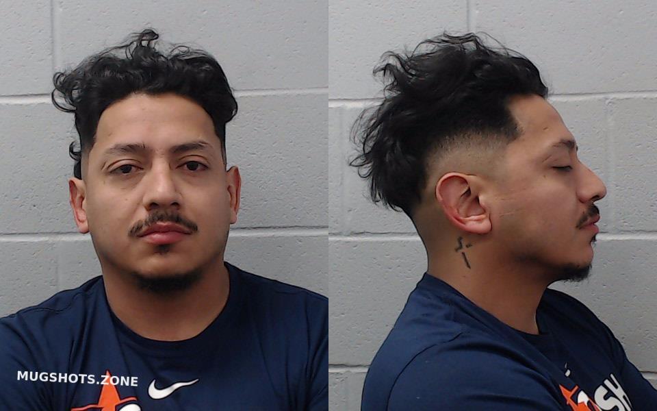 CASTILLO PEDRO EMLIO 04 12 2024 Hays County Mugshots Zone