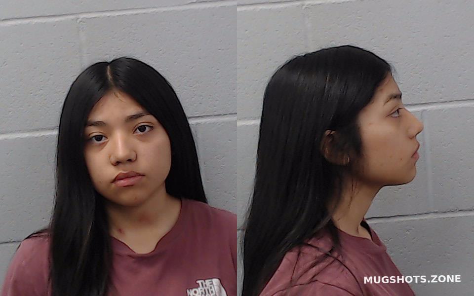 Mendez Ashlee Hays County Mugshots Zone