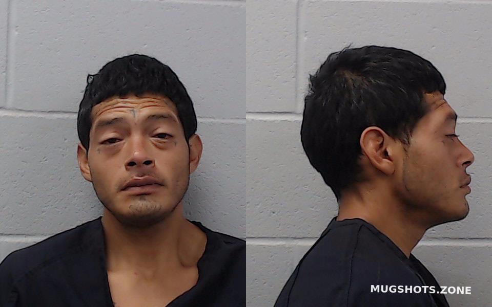 Saucedo Miguel Martinez Hays County Mugshots Zone