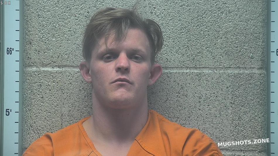 HICKS BRANDON LEE 06 04 2024 Henderson County Mugshots Zone