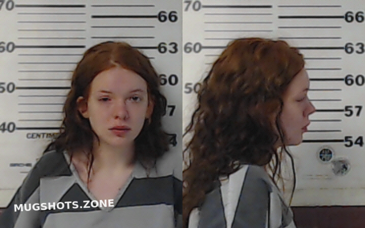 Lewis Camryn Fawn Henderson County Mugshots Zone