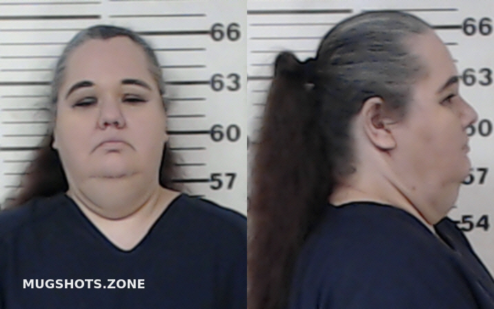 JOHNSON MEAGAN MICHELLE 12 07 2022 Henderson County Mugshots Zone