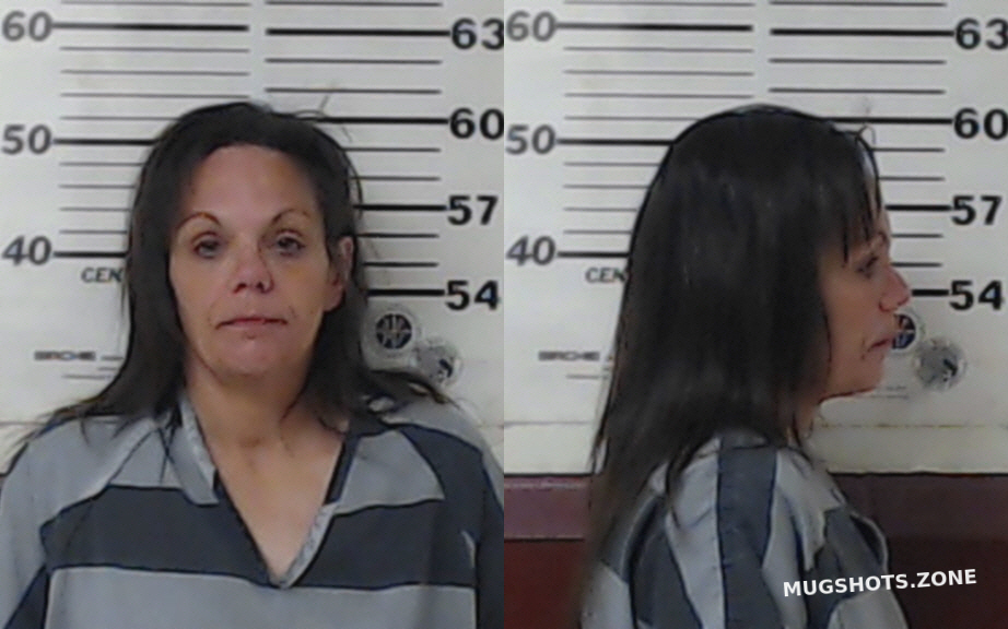 HAFLEY LISA SUZANNE 02 04 2023 Henderson County Mugshots Zone