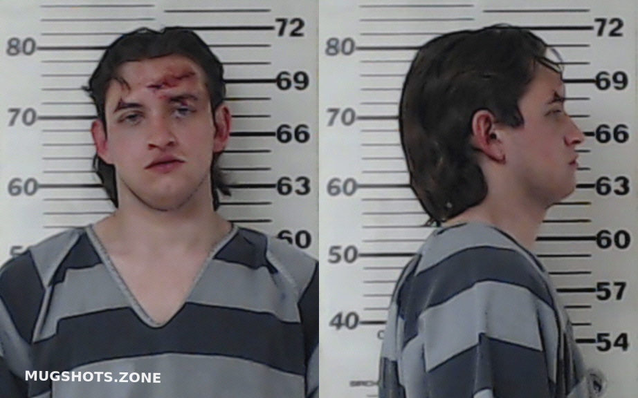 Bennett Shane Oneal Jr Henderson County Mugshots Zone