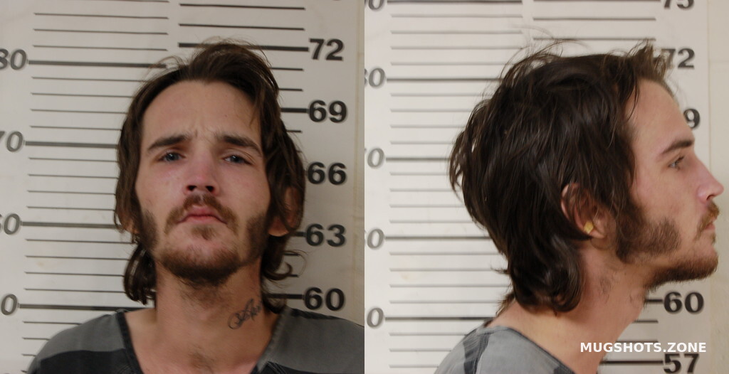 Gabbard Patrick Thomas Henderson County Mugshots Zone