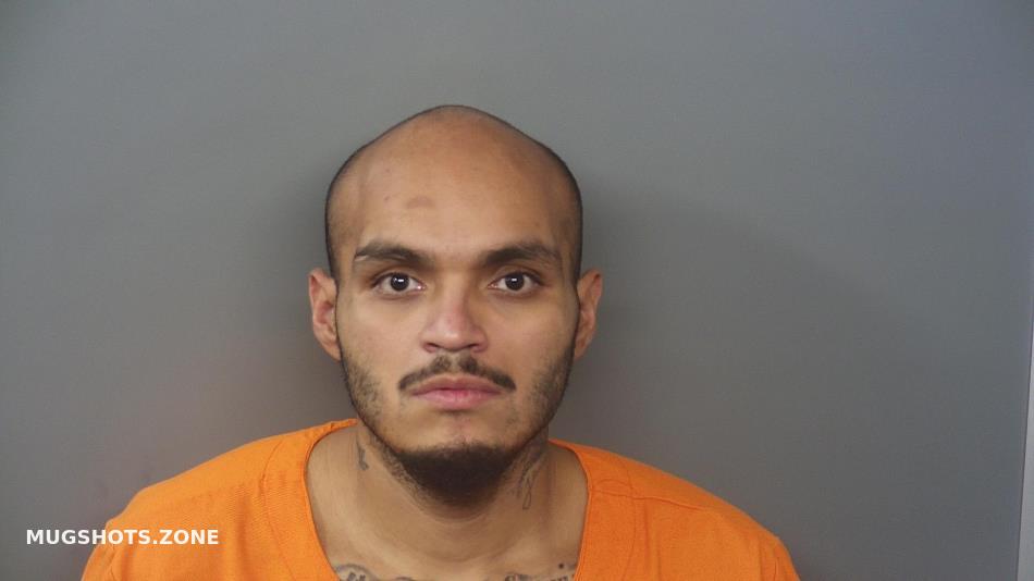 Baca Michael Angelo Hendricks County Mugshots Zone