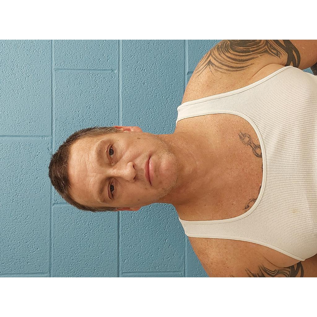 MEYER TONY 11 01 2022 Henry County Mugshots Zone