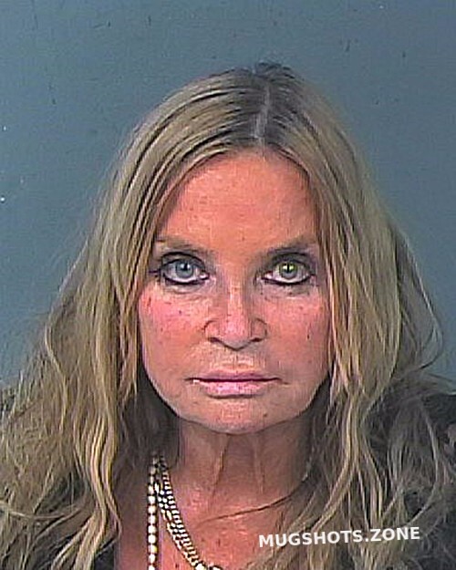 Ryan Teresa Ann Hernando County Mugshots Zone