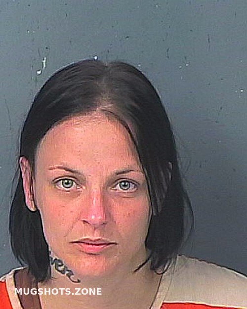 Puig Samantha Marie Hernando County Mugshots Zone