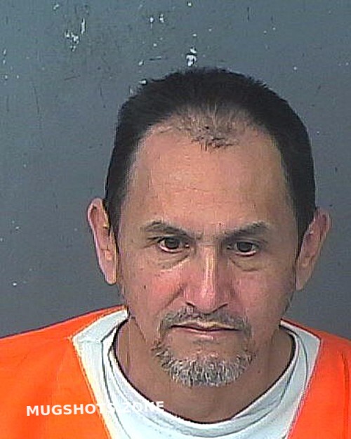 Mendoza Duran Hernando County Mugshots Zone