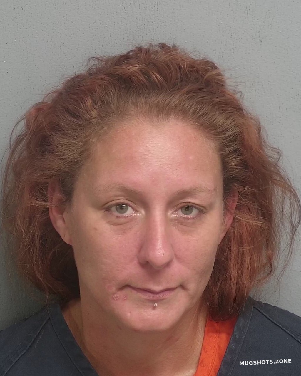 Hormerte Patricia Louise Hernando County Mugshots Zone