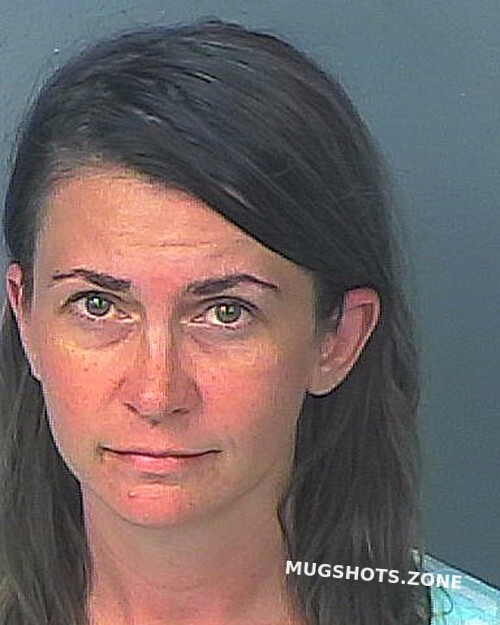 Swan Jessica Jean Hernando County Mugshots Zone