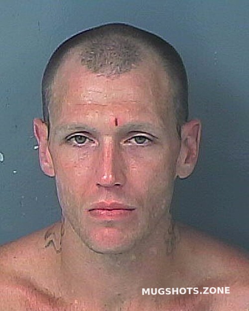 SEREDA NICHOLAS CLAY 08 20 2022 Hernando County Mugshots Zone