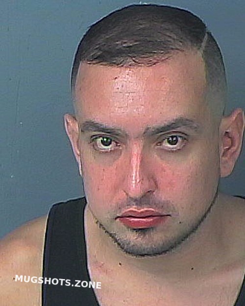 Loyacono Kevin Anthony Hernando County Mugshots Zone