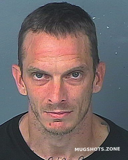 Sapp Michael Douglas Hernando County Mugshots Zone