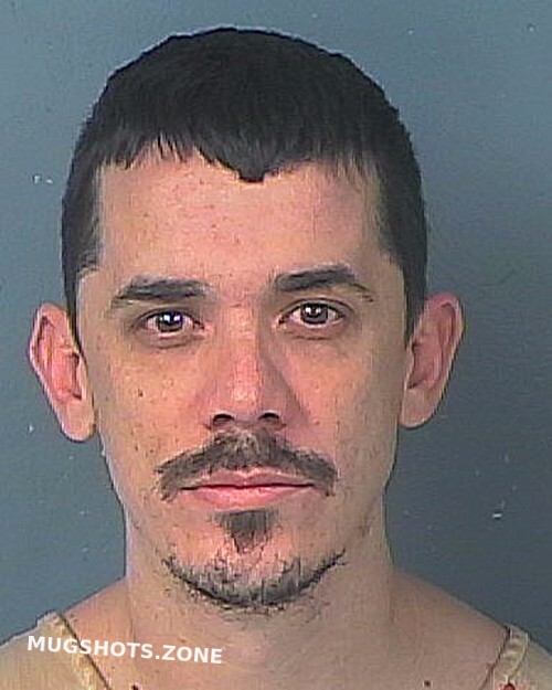 Smith Richard Hernando County Mugshots Zone