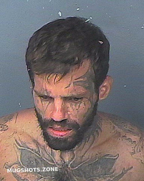 Wilson Aaron Hernando County Mugshots Zone