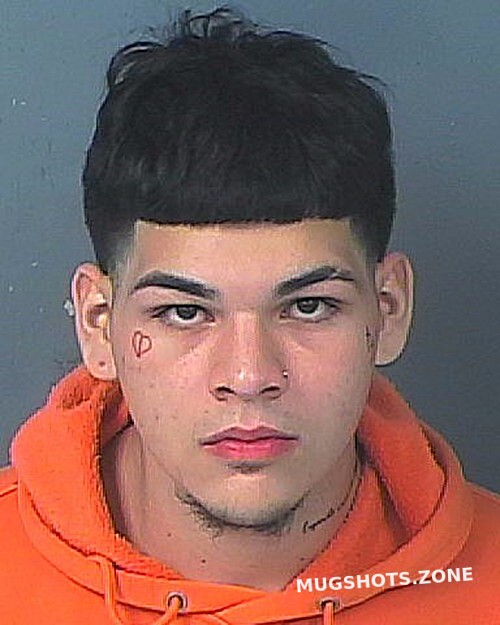 PADILLA ISAIAH RANDY 10 29 2022 Hernando County Mugshots Zone