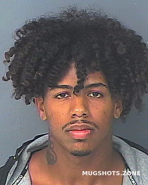 GREENE DIANTE MARKESE 11 01 2022 Hernando County Mugshots Zone