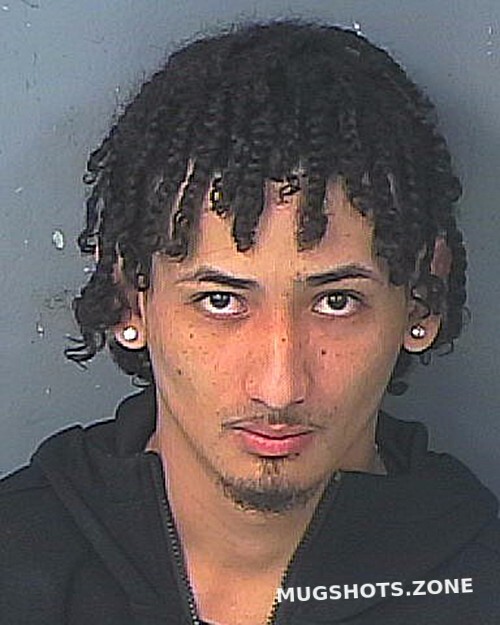 Dejesus Luis Hernando County Mugshots Zone