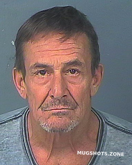 Bayer Timothy Michael Hernando County Mugshots Zone