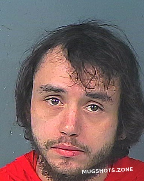 Kline Brandon Hernando County Mugshots Zone