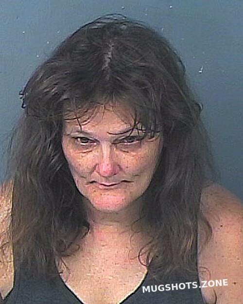 Robinson Wendy Lynn Hernando County Mugshots Zone