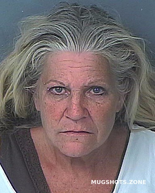 Norris Dawn Marie Hernando County Mugshots Zone