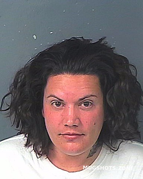 DISHON AMANDA GRACE 12 23 2022 Hernando County Mugshots Zone